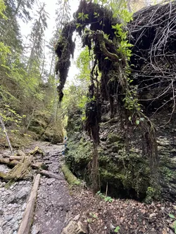 Photo from trip Slovenský raj