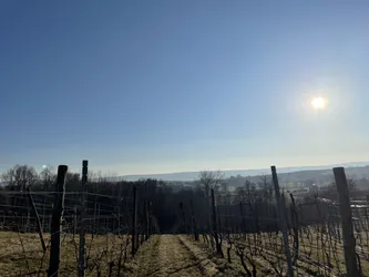 Bodzentyn, Poland – Apple iPhone 12