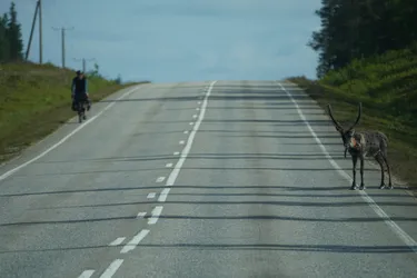 SONY ZV-E10 – Sony FE 70-300mm F4.5-5.6 G OSS