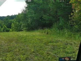 Kawęczyn, Poland – HUAWEI HMA-L29