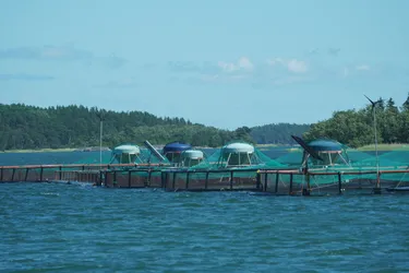 SONY ZV-E10 – Sony FE 70-300mm F4.5-5.6 G OSS