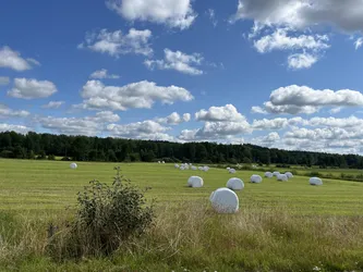 Kristdala, Sweden – Apple iPhone 13