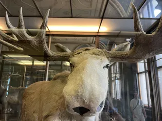 Vienna, Austria – Apple iPhone 13