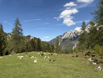 Kranjska Gora, Slovenia – Apple iPhone 17