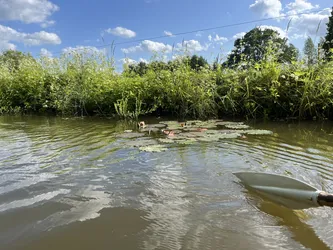 Iecava, Latvia – Apple iPhone 13