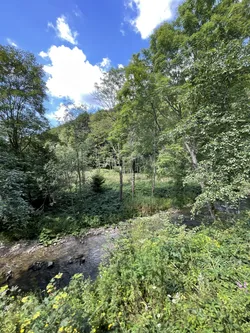 Photo from trip Bieszczady