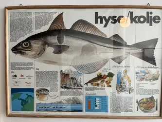 Kabelvåg, Norway – Apple iPhone 13