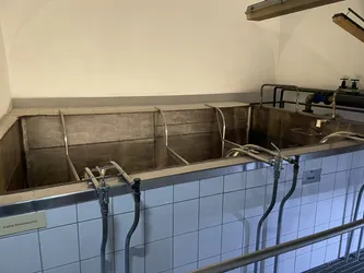 Zwierzyniec, Poland – Apple iPhone 12