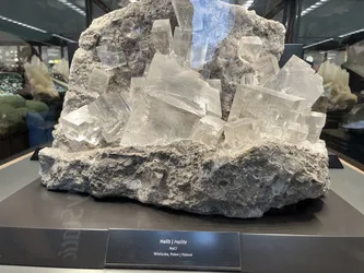 Vienna, Austria – Apple iPhone 13