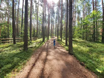 Zwierzyniec, Poland – samsung SM-G970F