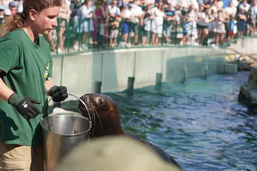 Vienna, Austria – SONY ZV-E10 – Sony FE 70-300mm F4.5-5.6 G OSS