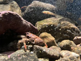 Kabelvåg, Norway – Apple iPhone 13