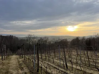 Bodzentyn, Poland – Apple iPhone 12