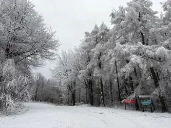 Walim, Poland – Apple iPhone 17