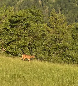 Tolmin, Slovenia – Apple iPhone 17