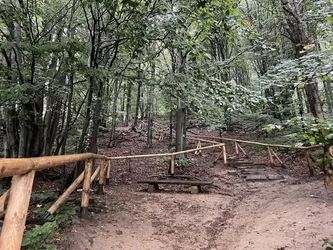 Nyzhnii Turiv, Ukraine – Apple iPhone 12