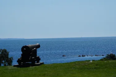 SONY ZV-E10 – Sony FE 70-300mm F4.5-5.6 G OSS