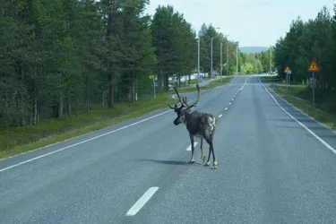 SONY ZV-E10 – Sony FE 70-300mm F4.5-5.6 G OSS