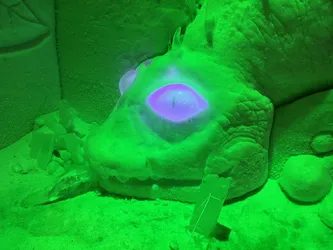 Leppävirta, Finland – Apple iPhone 13