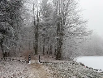 Negreia, Romania – Apple iPhone 17