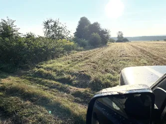 Zwierzyniec, Poland – Apple iPhone 12