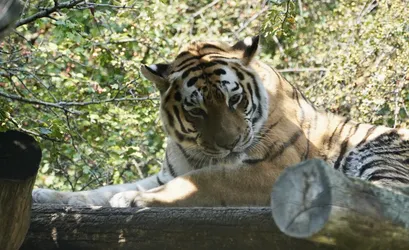 Vienna, Austria – SONY ZV-E10 – FE 70-300mm F4.5-5.6 G OSS