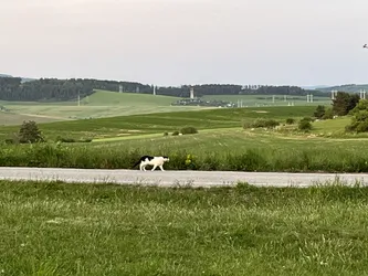 Photo from trip Slovenský raj