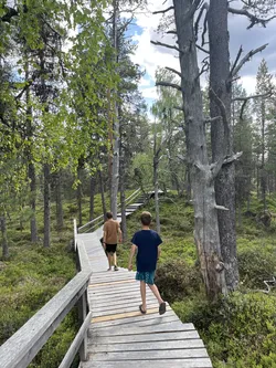 Inari, Finland – Apple iPhone 13