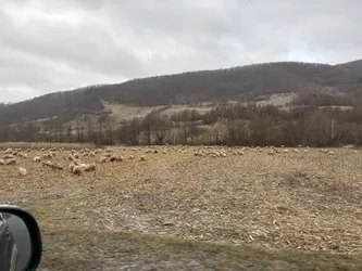 Chiuiești, Romania – Apple iPhone 17