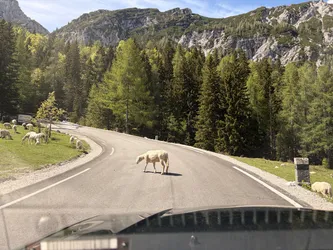 Kranjska Gora, Slovenia – Apple iPhone 17