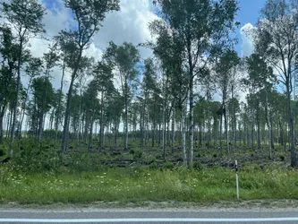 Salacgrīva, Latvia – Apple iPhone 13