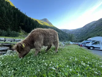 Odda, Norway – Apple iPhone 13