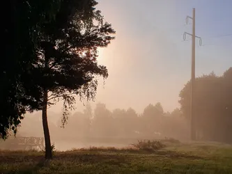Zwierzyniec, Poland – samsung SM-G970F