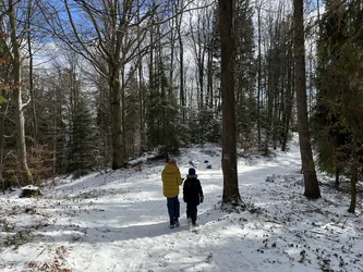 Photo from trip Beskid Sądecki
