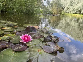 Iecava, Latvia – Apple iPhone 13