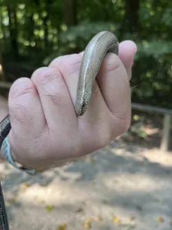 Vienna, Austria – Apple iPhone 13