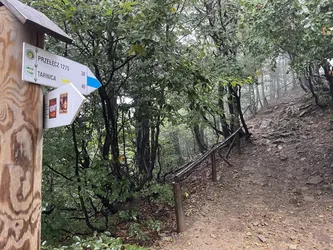 Nyzhnii Turiv, Ukraine – Apple iPhone 12