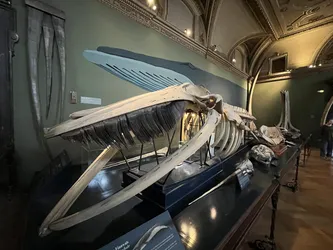 Vienna, Austria – Apple iPhone 13