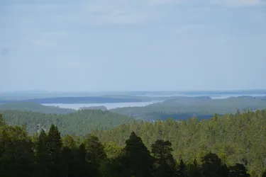 SONY ZV-E10 – Sony FE 70-300mm F4.5-5.6 G OSS