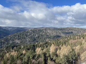 Photo from trip Beskid Sądecki