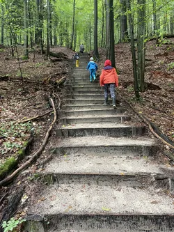 Zwierzyniec, Poland – Apple iPhone 12