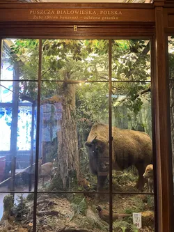 Vienna, Austria – Apple iPhone 13