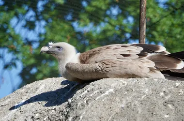 Photo from trip Budapeszt