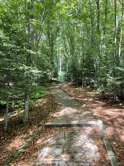 Polańczyk, Poland – Apple iPhone 12