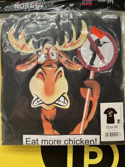 Ramberg, Norway – Apple iPhone 13