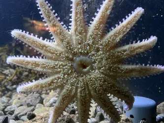 Kabelvåg, Norway – Apple iPhone 13