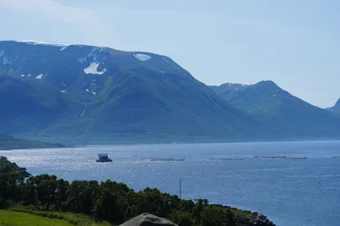 Borkenes, Norway – SONY ZV-E10 – Sony FE 70-300mm F4.5-5.6 G OSS