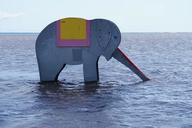 SONY ZV-E10 – Sony FE 70-300mm F4.5-5.6 G OSS