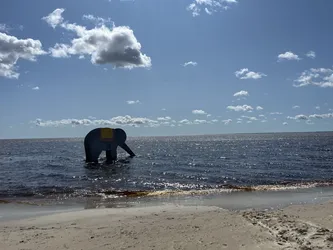 Pärnu, Estonia – Apple iPhone 13