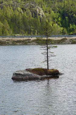 SONY ZV-E10 – Sony FE 70-300mm F4.5-5.6 G OSS